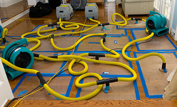 Professional Water Damage Repair technician working in Belleville, KS